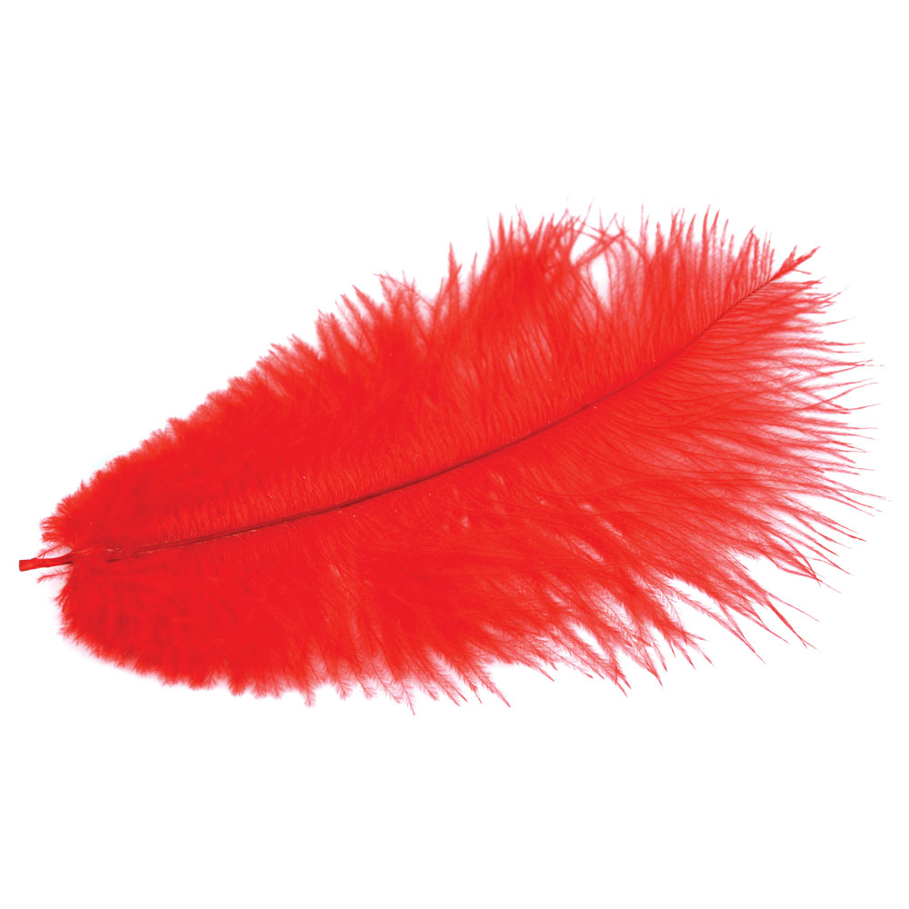 Straußenfedern-Butts, rot, ca. 20 cm lang