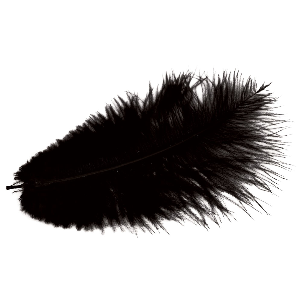 Straußenfedern-Butts, schwarz, ca.20 cm lang