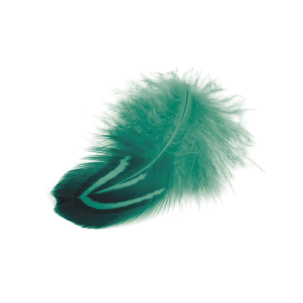Fasan-Perlfedern, grün, ca. 6/8 cm lang