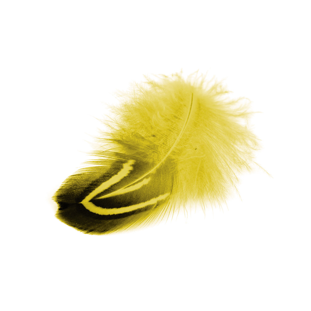 Fasan-Perlfedern, gelb, ca. 6/8 cm lang, 22 Stück