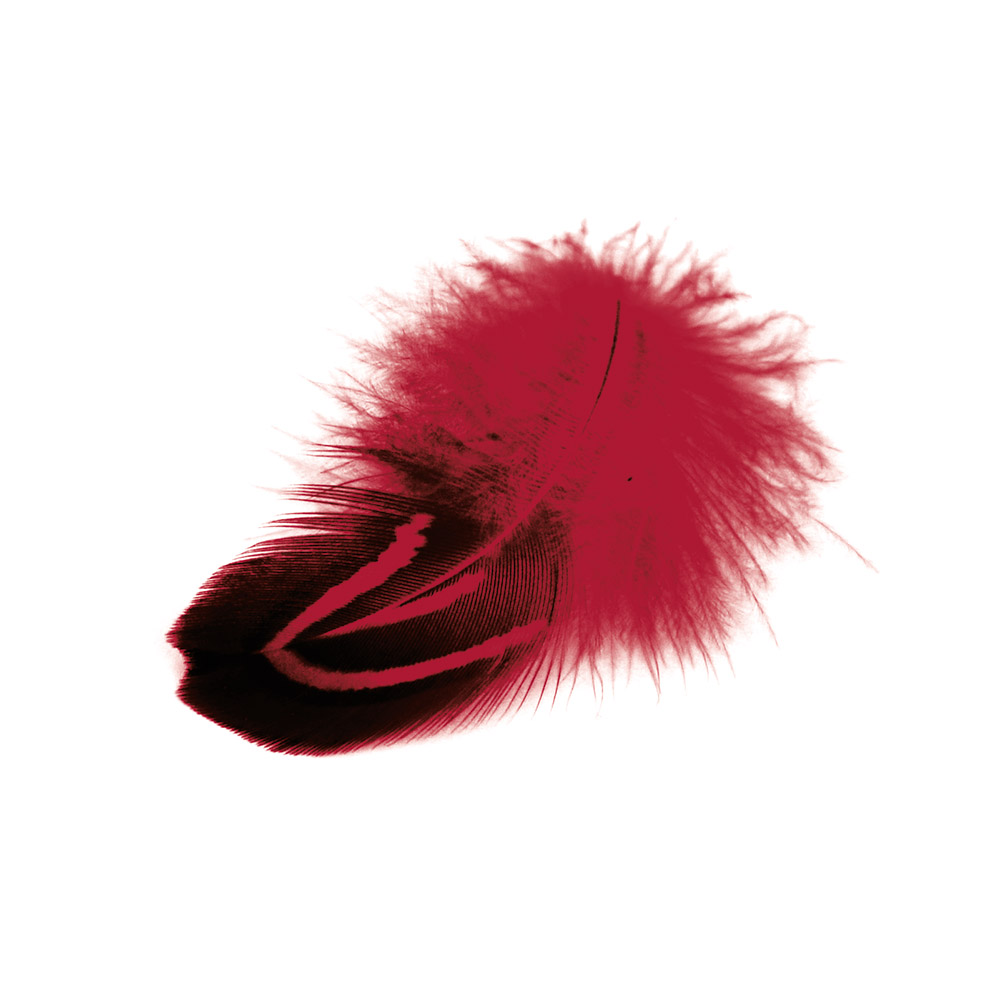 Fasan-Perlfedern, rot, ca. 6/8 cm lang