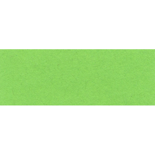Tonzeichenpapier, 130g/m², 50 x 70 cm, hellgrün
